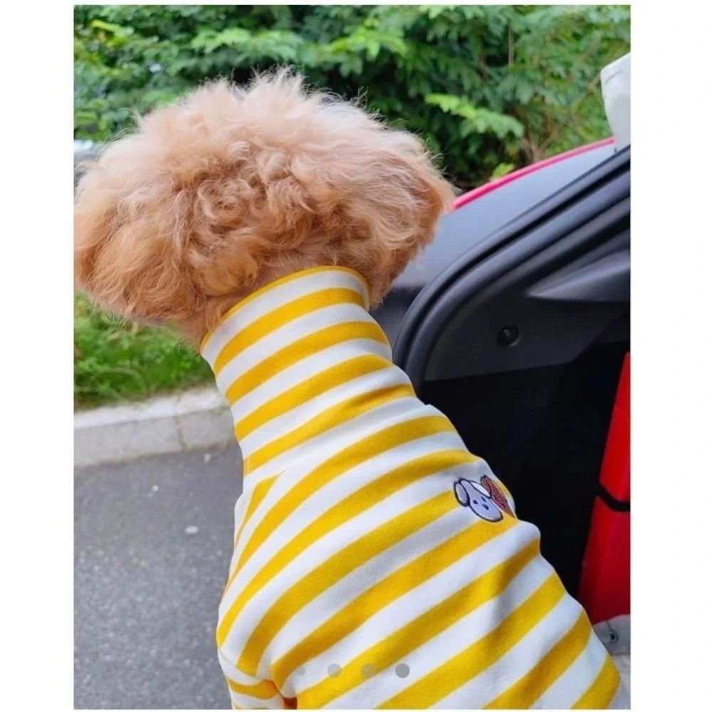 Turtleneck Dog Sweater Super Soft,‎ Pullover for Cats, size Medium Dog